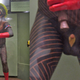 Image for article titled Here's Every Single Penis in the American Museum of Natural History